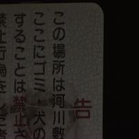 欠伸/傷跡の公園