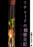 リチャードの観察日記