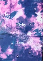 Flyby