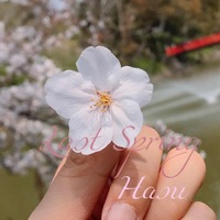 Last Spring