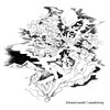 Schwarzwald / awakening
