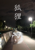狐狸