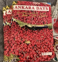 ANKARA DAYS