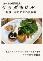 サラダモジル一皿目 はじめてのじすい編