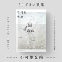 歌集 不可視光線 -Invisible ray scattering-