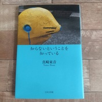 知らないということを知っている