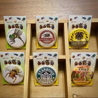 昆虫イラスト・昆虫モチーフ缶バッジ