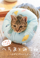 へちまとみつね1〜かぞくがふえたよ〜