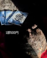 泥濘〜マタギの集落で生きる私の哲学〜