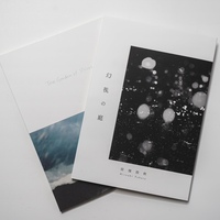 幻視の庭
