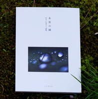 未見の園
