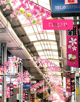 ragan no.29 Blooming Street