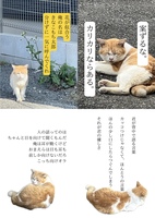 きなこもち太郎さん額装