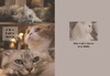 The cat's meow