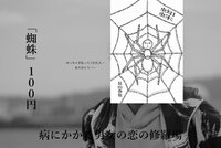 蜘蛛