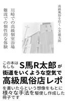高級風俗を往く