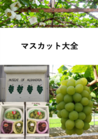 マスカット大全