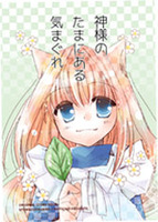 神様のたまにある気まぐれ