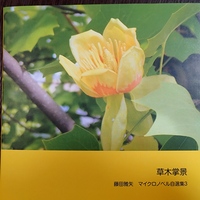 草木掌景 マイクロノベル自選集3