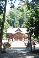 タイトル未定