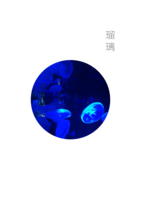 瑠璃