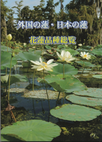 外国の蓮・日本の蓮 花蓮品種総覧