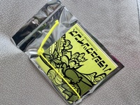 合わせコーデイラストZINE「ハラジュクツインズ」