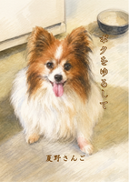 ボクをゆるして