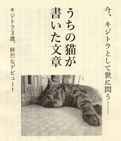 うちの猫が書いた文章