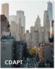 CDAPT Vol.06