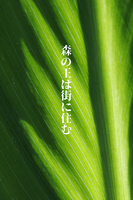 森の王は街に住む
