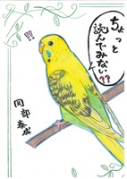 ちょっと読んでみない?