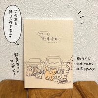 行徳にいる駐車場ねこ