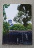 地震と歌と生活と 熊本に暮らす歌人が出会った熊本地震