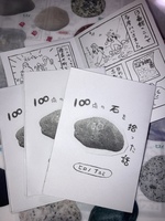 100点の石を拾った話