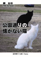 公園通りの懐かない猫